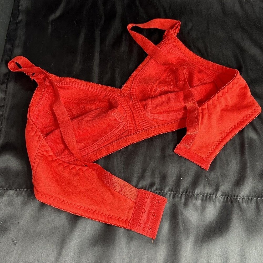 Red Bra 28C No Underwire Soft Comfortable Fit With Embroidered Floral Grapes - Picture 8 of 10